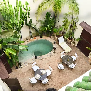 Les Ammonites And Riad Marrakesh